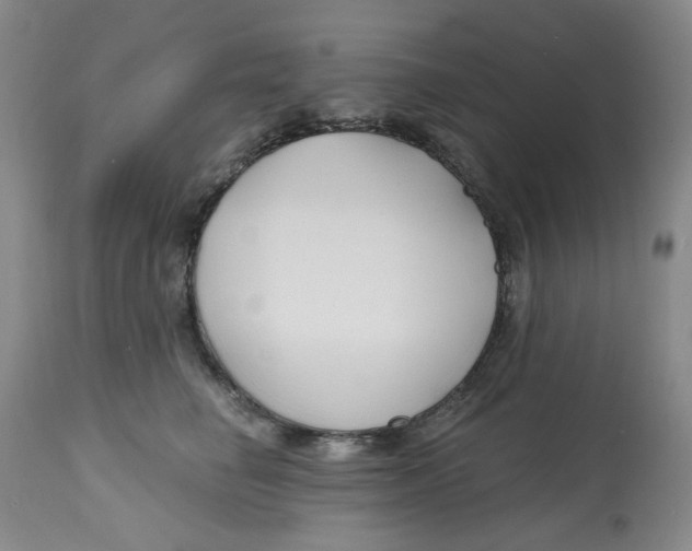 X0000112800662200909181538