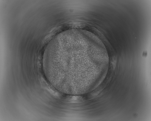X0000112800663200909181538
