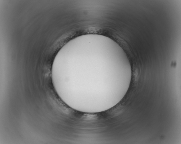 X0000112800665200909181538