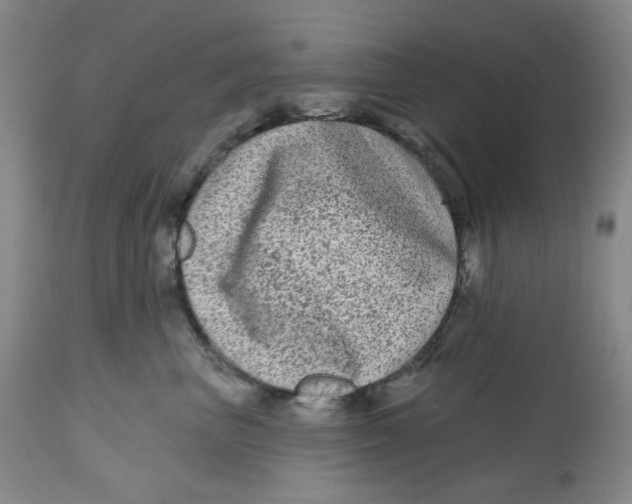 X0000112800667200909181538