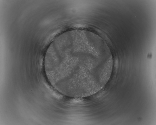 X0000112800668200909181538