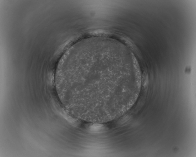 X0000112800669200909181538