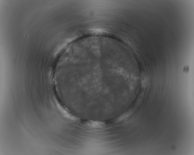 X0000112800670200909181538