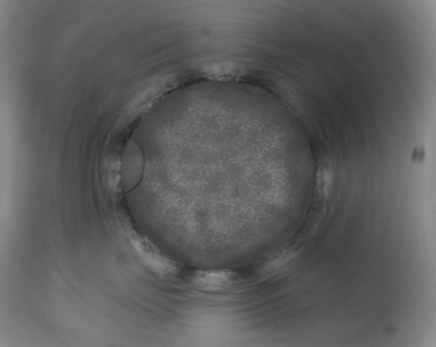 X0000112800671200909181538