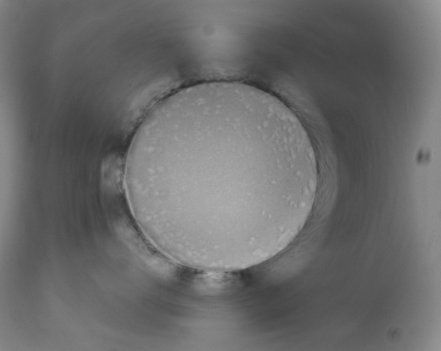 X0000112800672200909181538