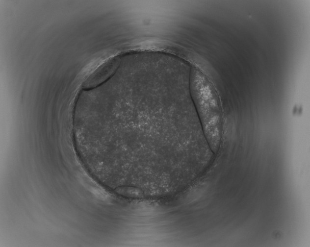 X0000112800673200909181537
