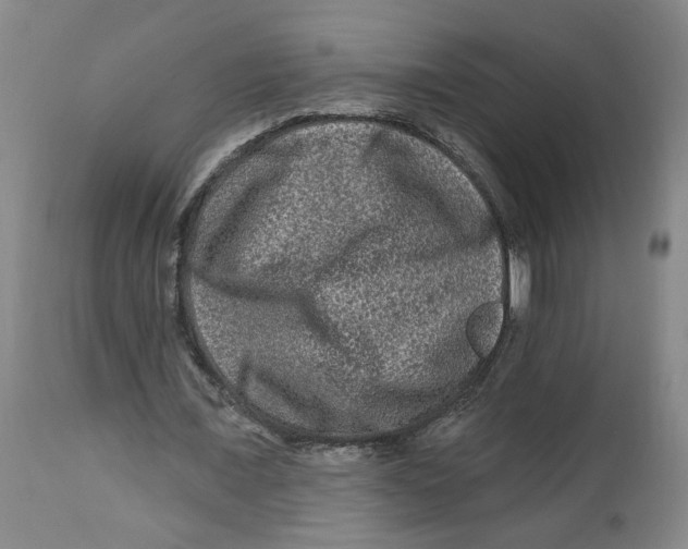 X0000112800675200909181537