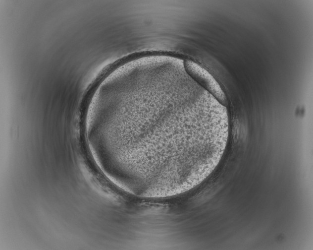 X0000112800676200909181537