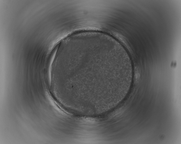 X0000112800677200909181537