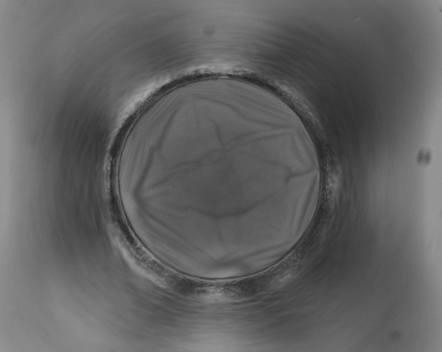 X0000112800678200909181537