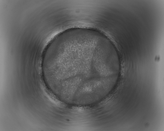 X0000112800679200909181537