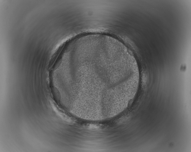 X0000112800684200909181537