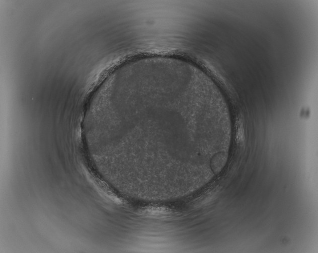 X0000112800685200909181537