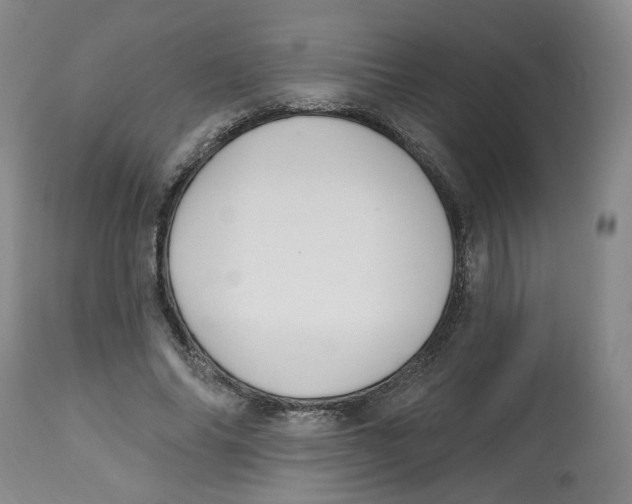X0000112800686200909181537