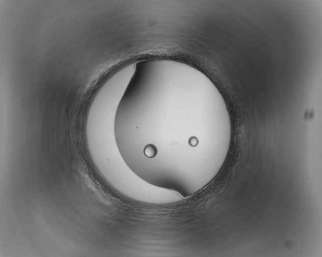 X0000112800688200909181537