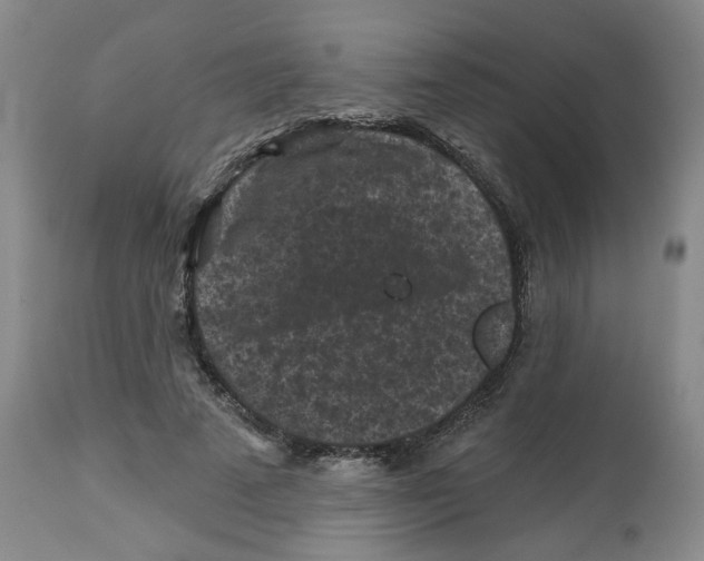 X0000112800689200909181537