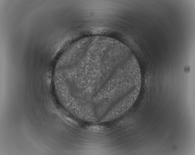 X0000112800691200909181537