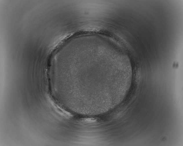 X0000112800692200909181537