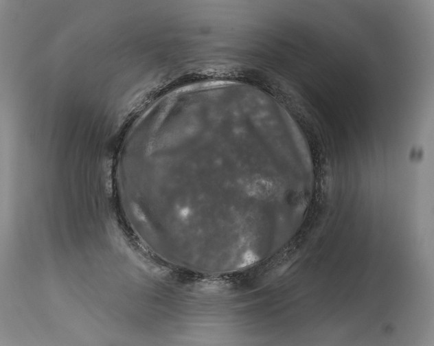 X0000112800696200909181537