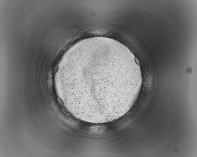 X0000112800700200909181537