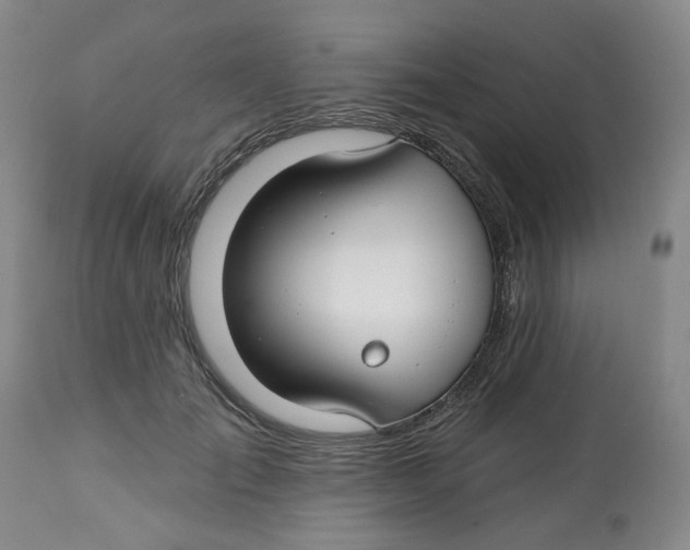 X0000112800701200909181537