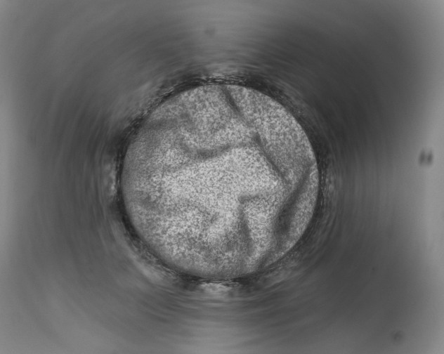 X0000112800703200909181537