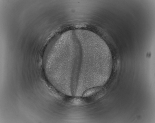 X0000112800704200909181537