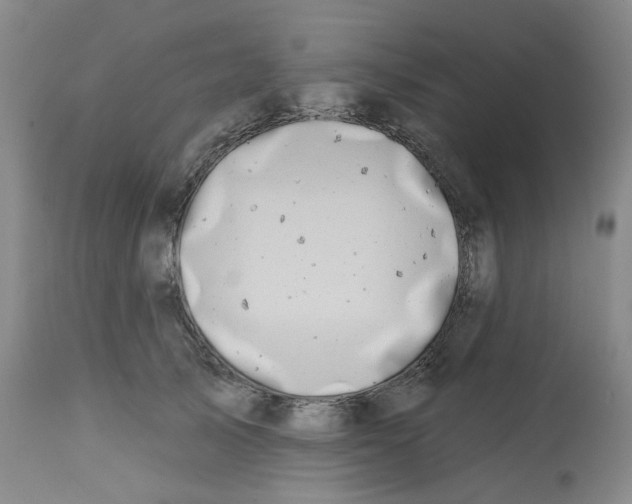 X0000112800705200909181537