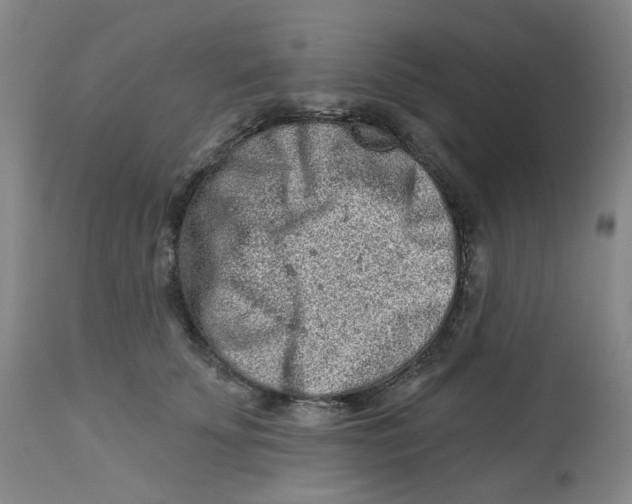 X0000112800707200909181537