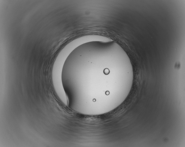 X0000112800708200909181536