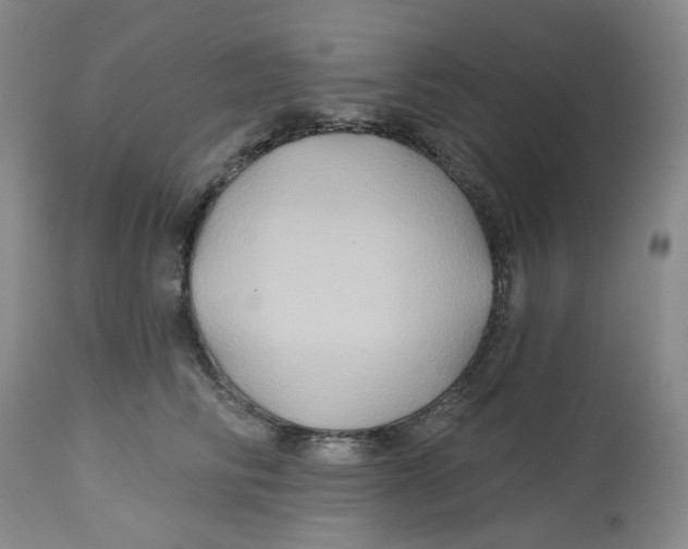 X0000112800710200909181536