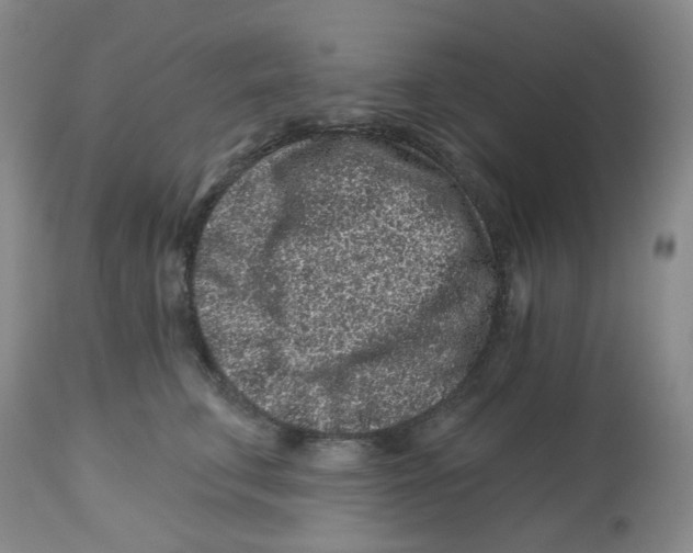 X0000112800711200909181536