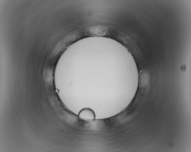 X0000112800713200909181536