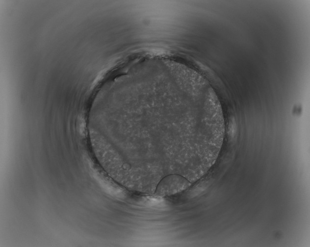 X0000112800715200909181536