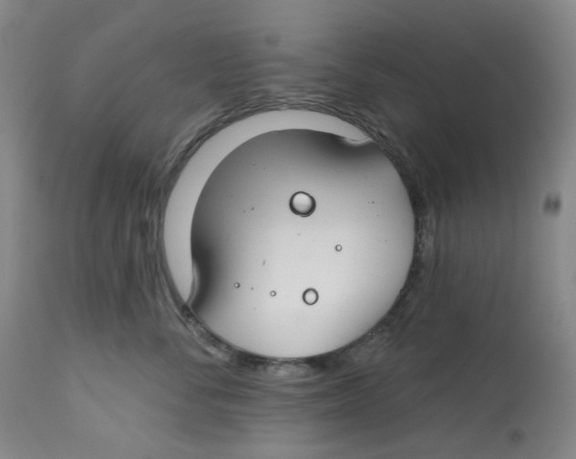 X0000112800716200909181536