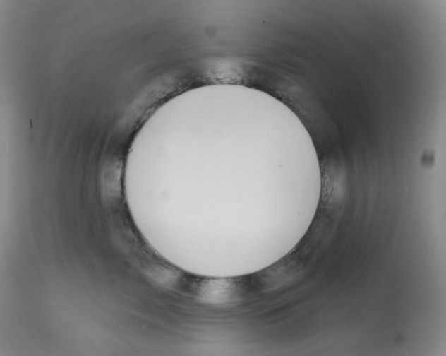 X0000112800717200909181536