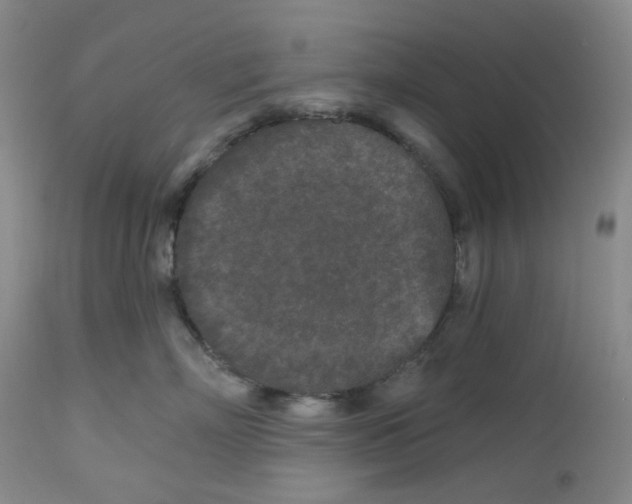 X0000112800718200909181536