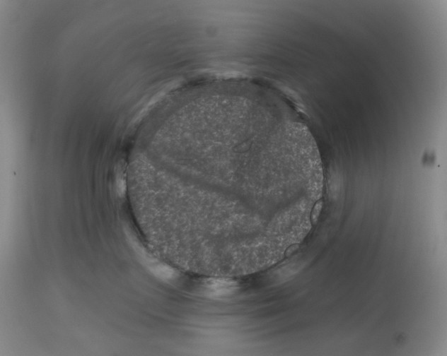 X0000112800719200909181536