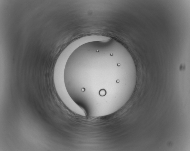 X0000112800720200909181536