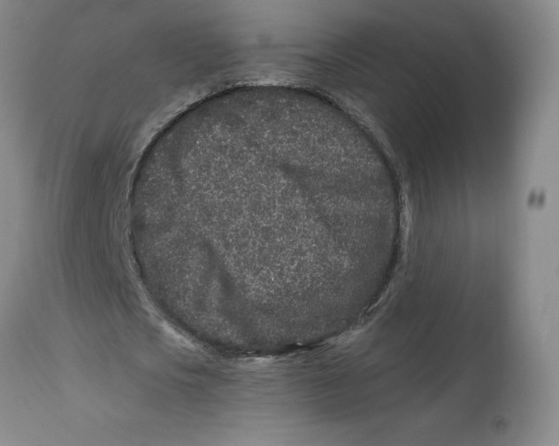 X0000112800721200909181536