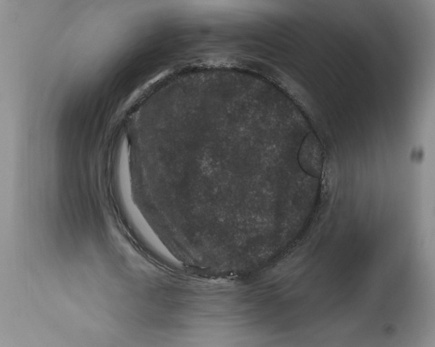 X0000112800722200909181536