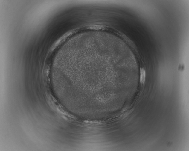 X0000112800723200909181536