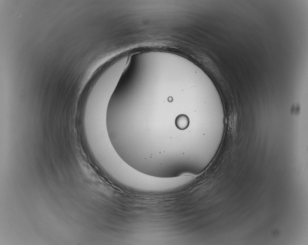 X0000112800724200909181536