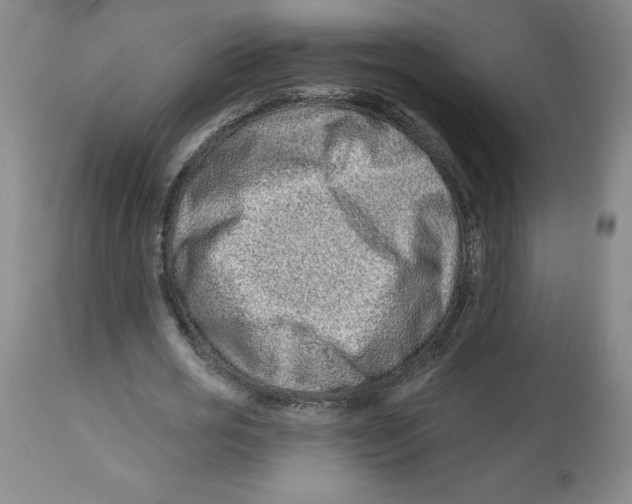 X0000112800725200909181536