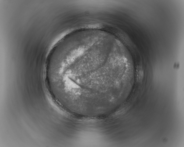 X0000112800726200909181536