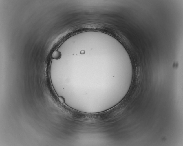 X0000112800727200909181536