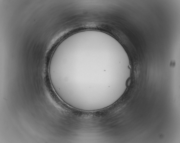 X0000112800728200909181536