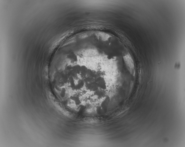 X0000112800729200909181536