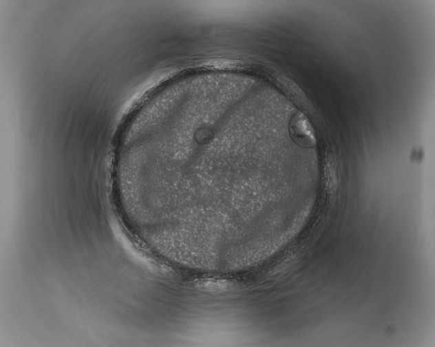 X0000112800730200909181536