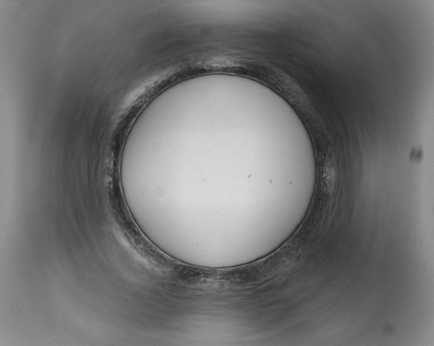 X0000112800732200909181536